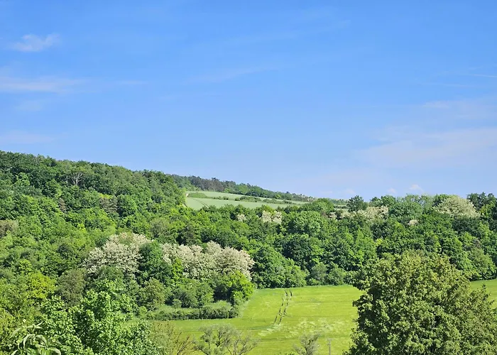 Grand Nature A - Clim, Jardin Prive & Terrasse - 7 Lits